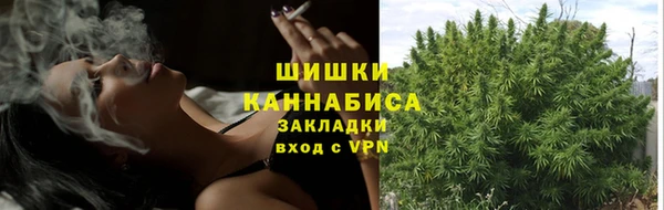 молекула духа Елабуга