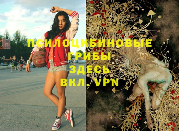 молекула духа Елабуга