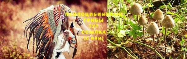 спайс Ельня