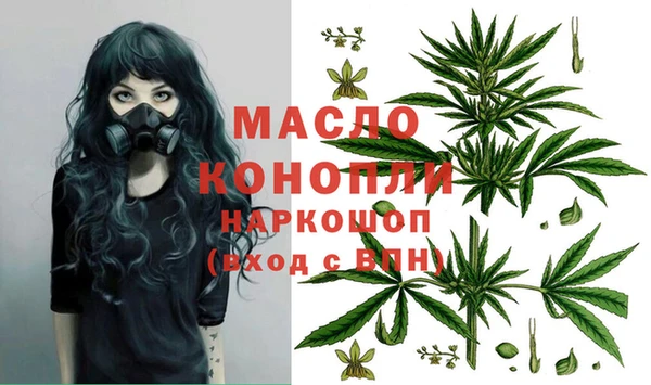 молекула духа Елабуга