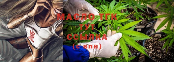 спайс Ельня