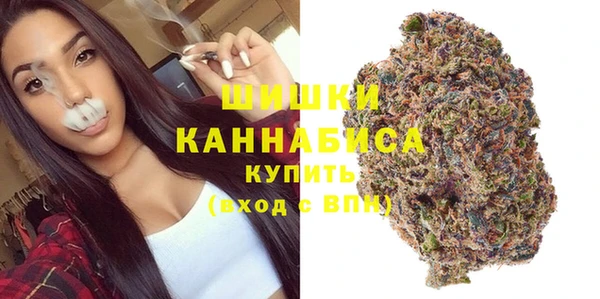 спайс Ельня