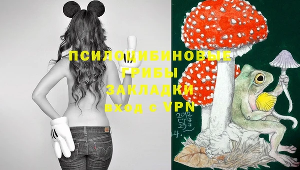 МДМА Елизово