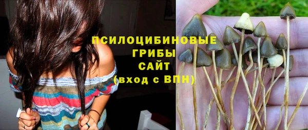 молекула духа Елабуга