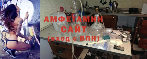 молекула духа Елабуга