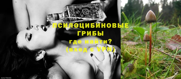 молекула духа Елабуга