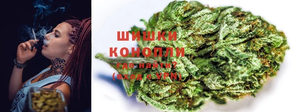 спайс Ельня